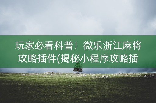 玩家必看科普！微乐浙江麻将攻略插件(揭秘小程序攻略插件)