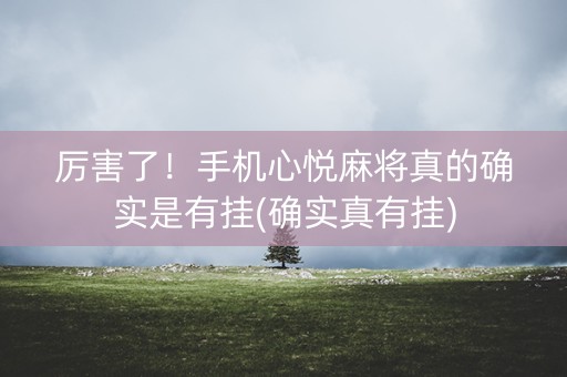 厉害了！手机心悦麻将真的确实是有挂(确实真有挂)