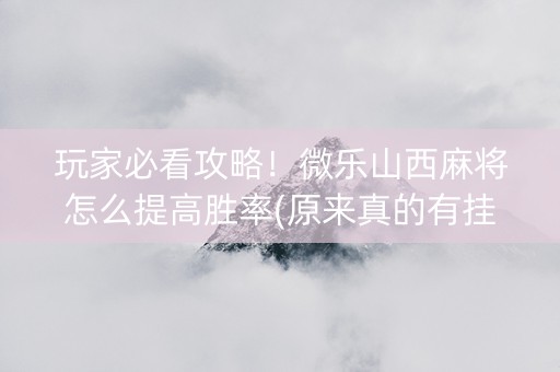 玩家必看攻略！微乐山西麻将怎么提高胜率(原来真的有挂)