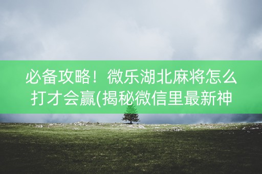 必备攻略！微乐湖北麻将怎么打才会赢(揭秘微信里最新神器下载)