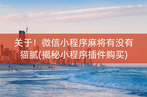 关于！微信小程序麻将有没有猫腻(揭秘小程序插件购买)