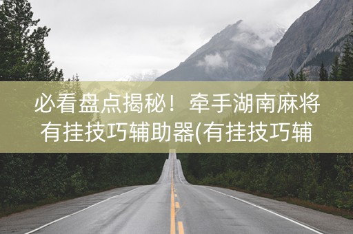 必看盘点揭秘！牵手湖南麻将有挂技巧辅助器(有挂技巧辅助器)