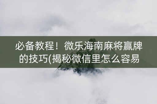 必备教程！微乐海南麻将赢牌的技巧(揭秘微信里怎么容易赢)