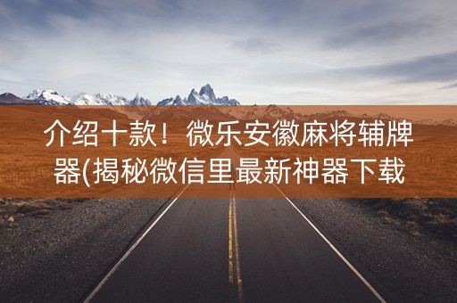 介绍十款！微乐安徽麻将辅牌器(揭秘微信里最新神器下载)