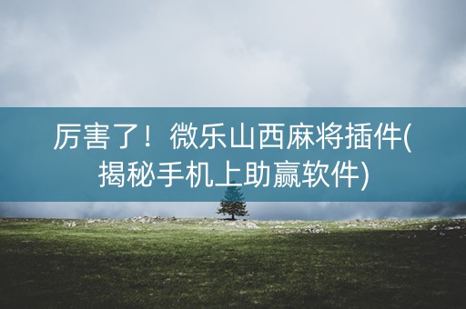 厉害了！微乐山西麻将插件(揭秘手机上助赢软件)