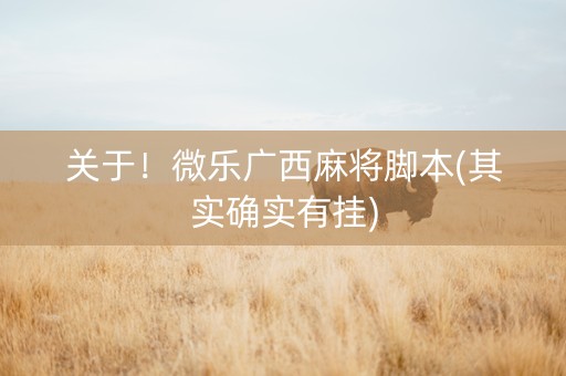 关于！微乐广西麻将脚本(其实确实有挂)