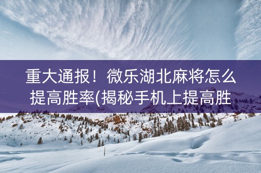 重大通报！微乐湖北麻将怎么提高胜率(揭秘手机上提高胜率)