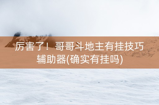 厉害了！哥哥斗地主有挂技巧辅助器(确实有挂吗)