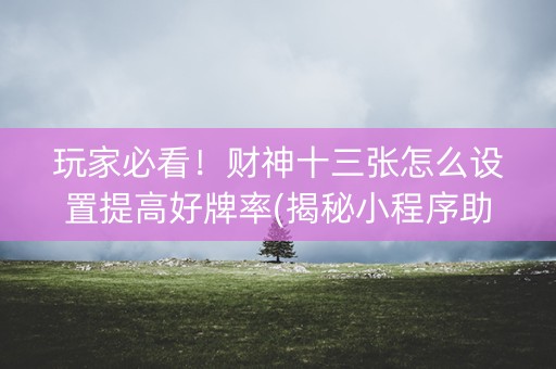玩家必看！财神十三张怎么设置提高好牌率(揭秘小程序助攻神器)