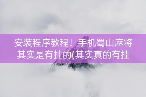 安装程序教程！手机蜀山麻将其实是有挂的(其实真的有挂)