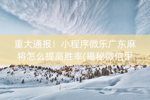 重大通报！小程序微乐广东麻将怎么提高胜率(揭秘微信里提高胜率)