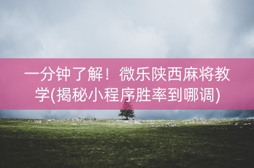 一分钟了解！微乐陕西麻将教学(揭秘小程序胜率到哪调)