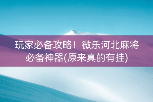 玩家必备攻略！微乐河北麻将必备神器(原来真的有挂)