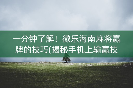一分钟了解！微乐海南麻将赢牌的技巧(揭秘手机上输赢技巧)