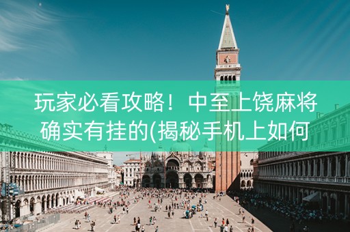 玩家必看攻略！中至上饶麻将确实有挂的(揭秘手机上如何让牌变好)