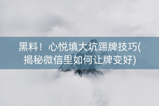 黑料！心悦填大坑踢牌技巧(揭秘微信里如何让牌变好)