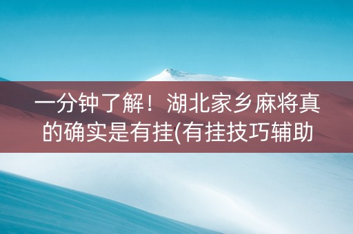 一分钟了解！湖北家乡麻将真的确实是有挂(有挂技巧辅助器)