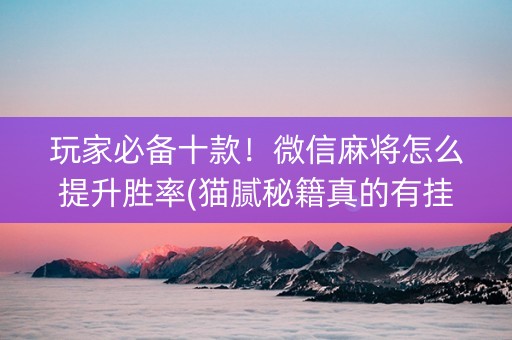 玩家必备十款！微信麻将怎么提升胜率(猫腻秘籍真的有挂)
