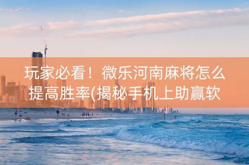 玩家必看！微乐河南麻将怎么提高胜率(揭秘手机上助赢软件)