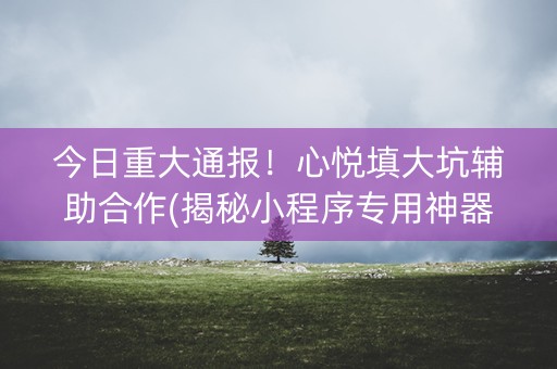 今日重大通报！心悦填大坑辅助合作(揭秘小程序专用神器)