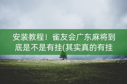 安装教程！雀友会广东麻将到底是不是有挂(其实真的有挂)