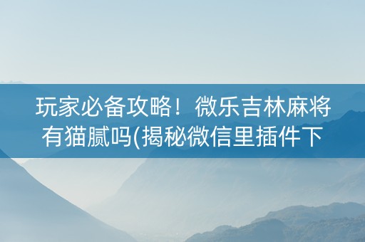 玩家必备攻略！微乐吉林麻将有猫腻吗(揭秘微信里插件下载)