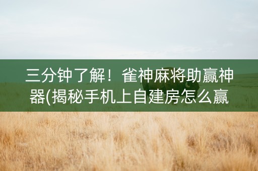三分钟了解！雀神麻将助赢神器(揭秘手机上自建房怎么赢)