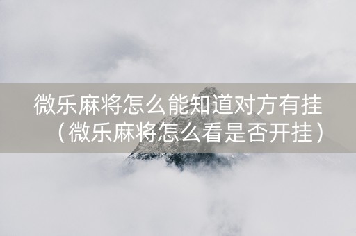 微乐麻将怎么能知道对方有挂（微乐麻将怎么看是否开挂）