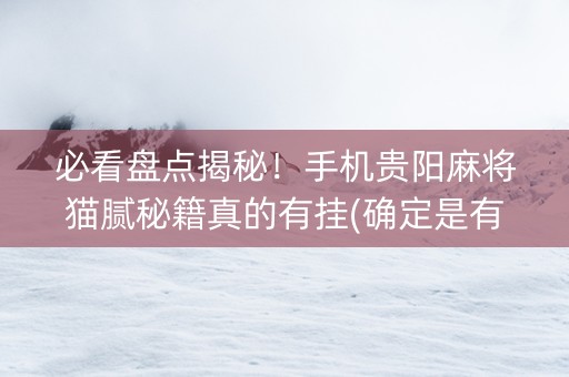 必看盘点揭秘！手机贵阳麻将猫腻秘籍真的有挂(确定是有挂)