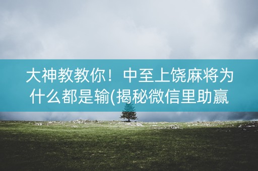 大神教教你！中至上饶麻将为什么都是输(揭秘微信里助赢软件)
