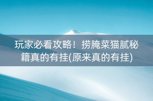 玩家必看攻略！捞腌菜猫腻秘籍真的有挂(原来真的有挂)