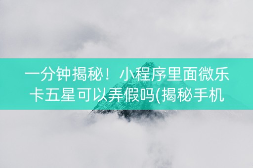 一分钟揭秘！小程序里面微乐卡五星可以弄假吗(揭秘手机上插件购买)