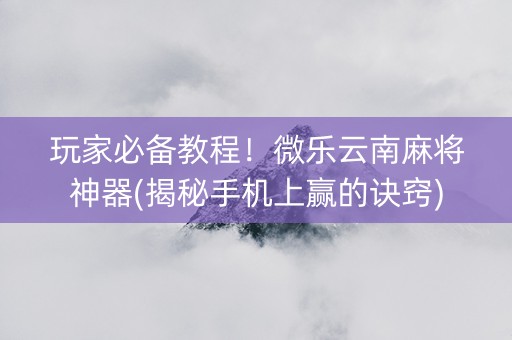 玩家必备教程！微乐云南麻将神器(揭秘手机上赢的诀窍)