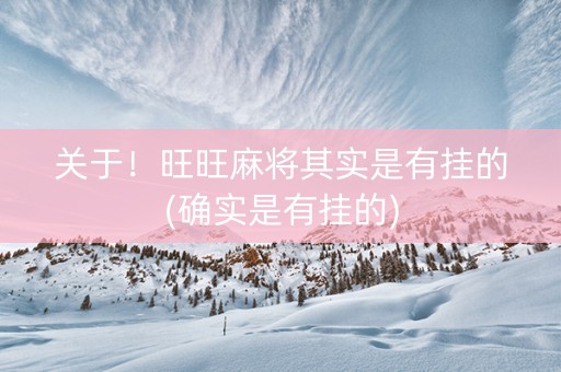 关于！旺旺麻将其实是有挂的(确实是有挂的)