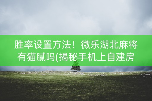 胜率设置方法！微乐湖北麻将有猫腻吗(揭秘手机上自建房怎么赢)