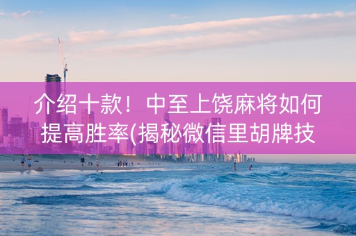 介绍十款！中至上饶麻将如何提高胜率(揭秘微信里胡牌技巧)