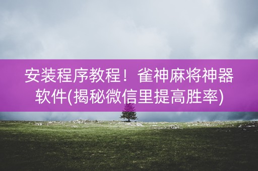 安装程序教程！雀神麻将神器软件(揭秘微信里提高胜率)