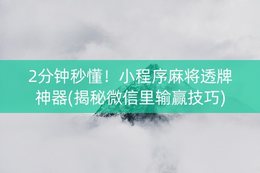 2分钟秒懂！小程序麻将透牌神器(揭秘微信里输赢技巧)