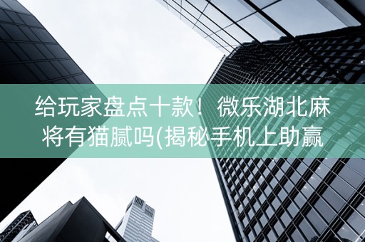 给玩家盘点十款！微乐湖北麻将有猫腻吗(揭秘手机上助赢神器)