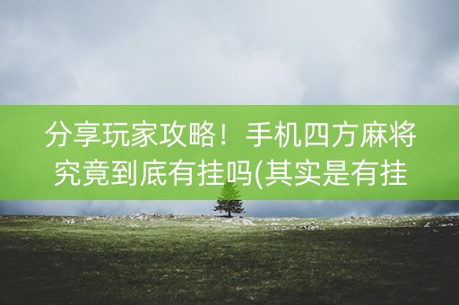 分享玩家攻略！手机四方麻将究竟到底有挂吗(其实是有挂的)