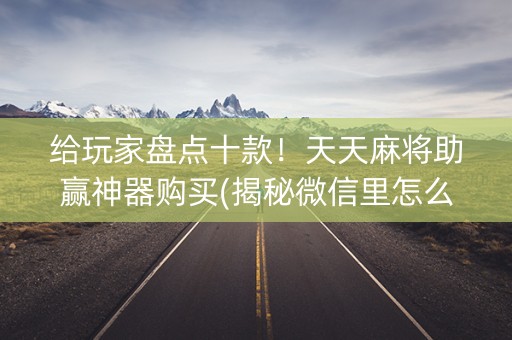 给玩家盘点十款！天天麻将助赢神器购买(揭秘微信里怎么容易赢)