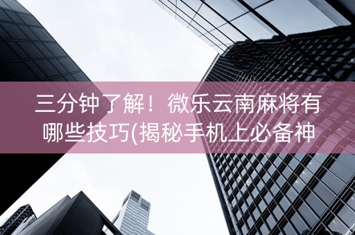 三分钟了解！微乐云南麻将有哪些技巧(揭秘手机上必备神器)