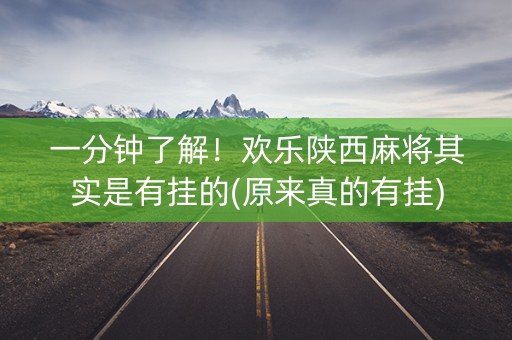 一分钟了解！欢乐陕西麻将其实是有挂的(原来真的有挂)