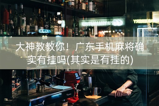 大神教教你！广东手机麻将确实有挂吗(其实是有挂的)