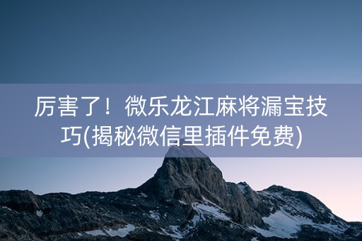 厉害了！微乐龙江麻将漏宝技巧(揭秘微信里插件免费)