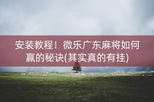 安装教程！微乐广东麻将如何赢的秘诀(其实真的有挂)