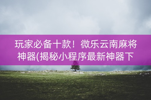 玩家必备十款！微乐云南麻将神器(揭秘小程序最新神器下载)