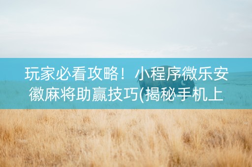 玩家必看攻略！小程序微乐安徽麻将助赢技巧(揭秘手机上输赢规律)