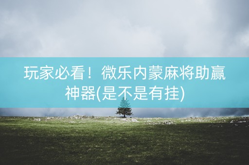 玩家必看！微乐内蒙麻将助赢神器(是不是有挂)
