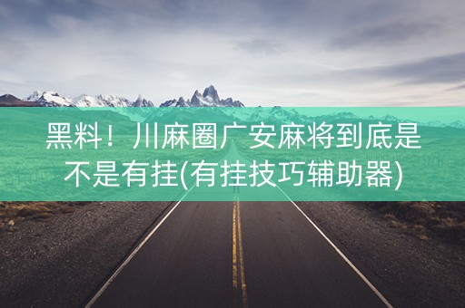 黑料！川麻圈广安麻将到底是不是有挂(有挂技巧辅助器)